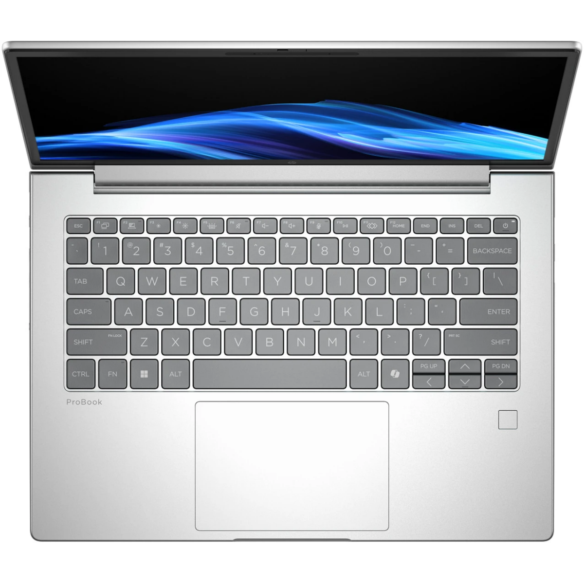 Notebook HP ProBook 14 Ryzen 5 16GB RAM 512GB SSD W11 Pro